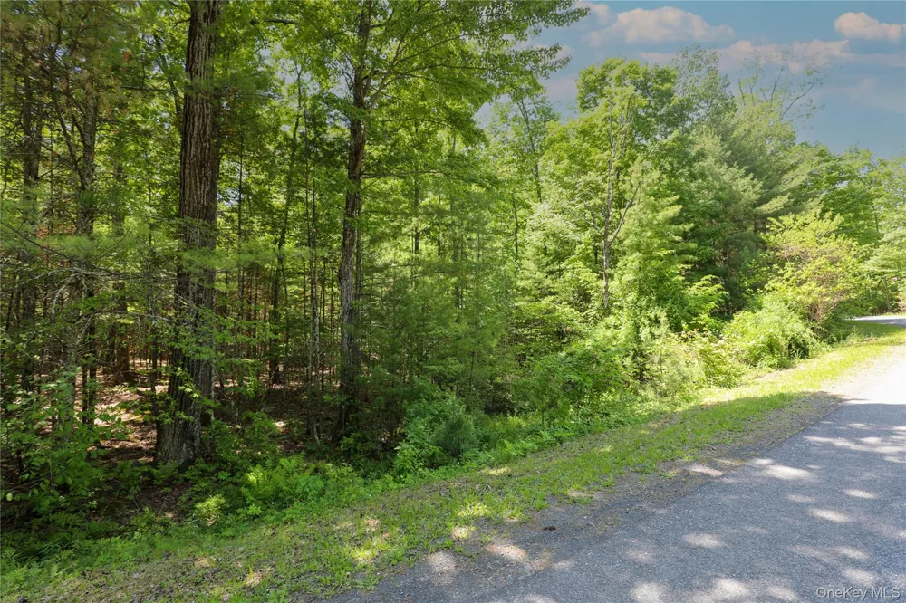 TBD Bristol Hill Road Hurley, NY 12443
