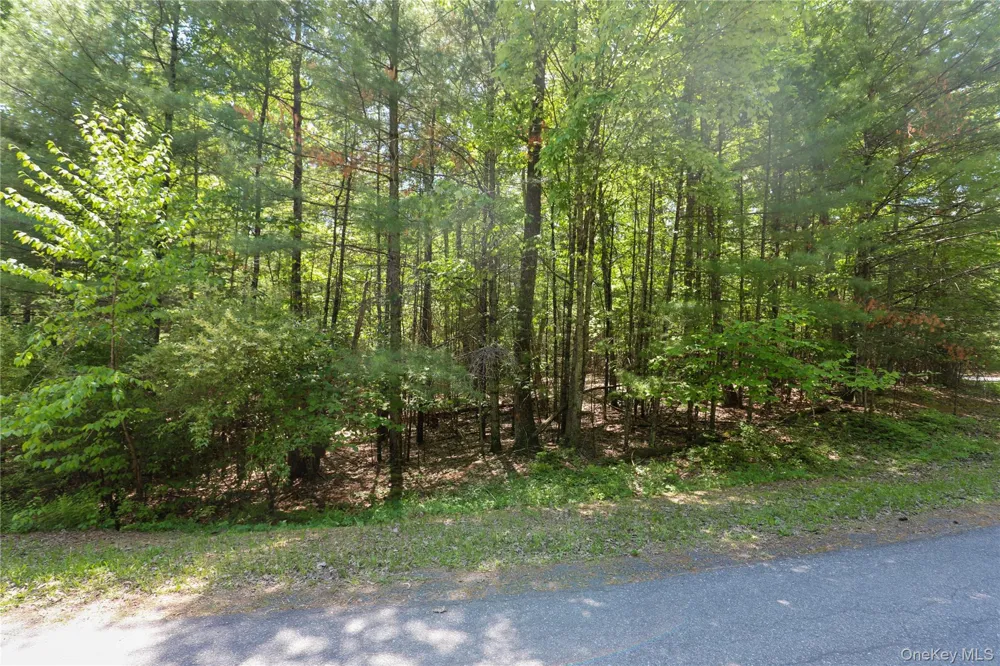 TBD Bristol Hill Road Hurley, NY 12443