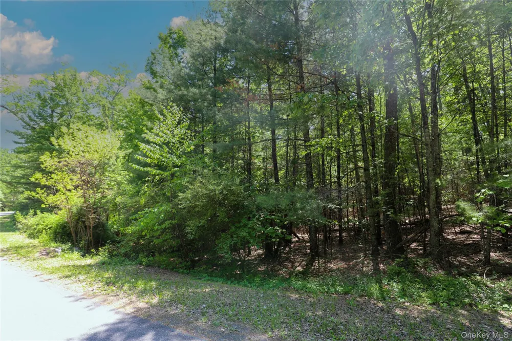 TBD Bristol Hill Road Hurley, NY 12443