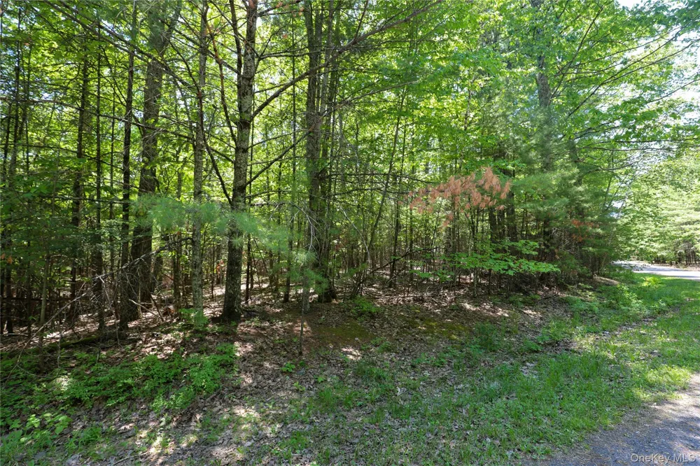TBD Bristol Hill Road Hurley, NY 12443