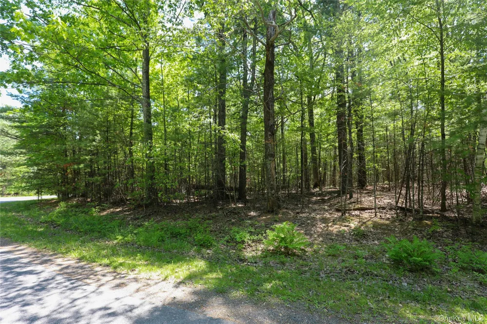 TBD Bristol Hill Road Hurley, NY 12443