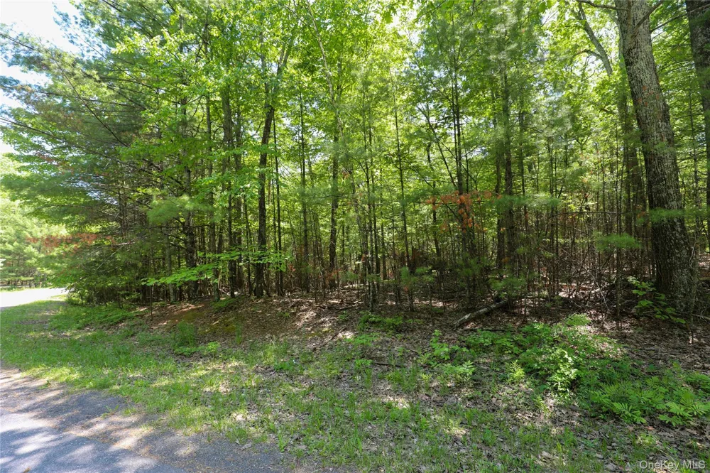 TBD Bristol Hill Road Hurley, NY 12443