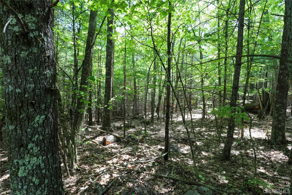 TBD Bristol Hill Road Hurley, NY 12443