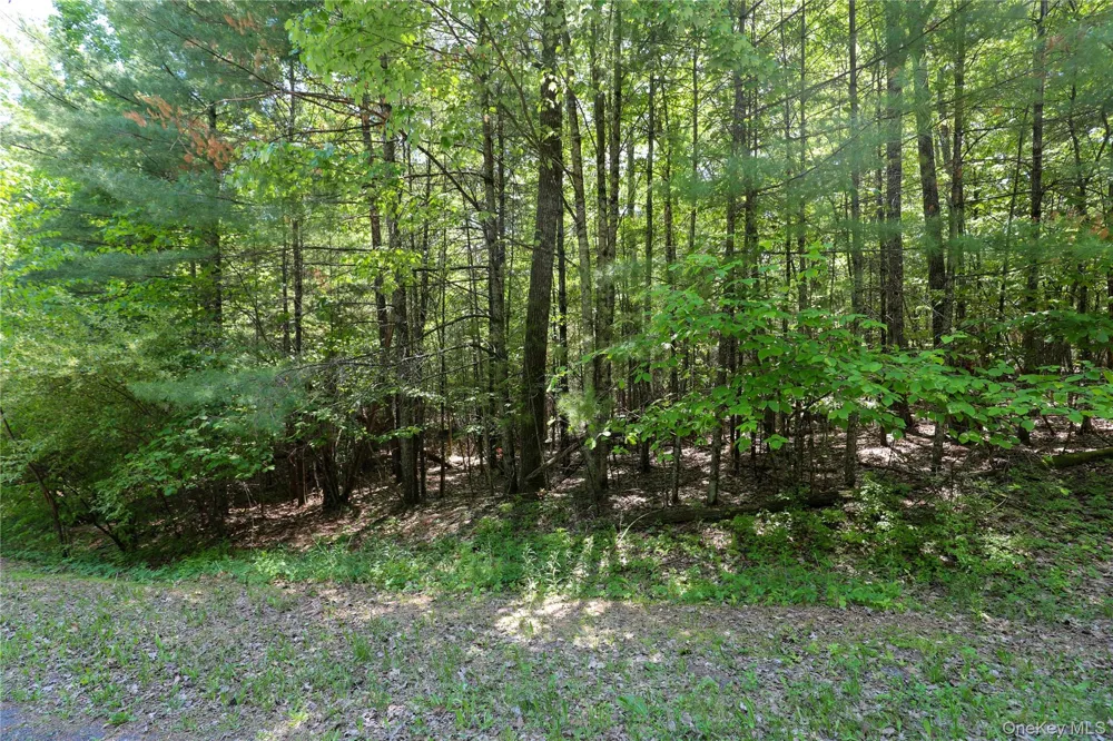 TBD Bristol Hill Road Hurley, NY 12443
