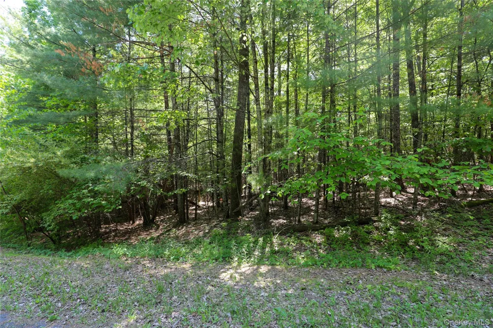 TBD Bristol Hill Road Hurley, NY 12443