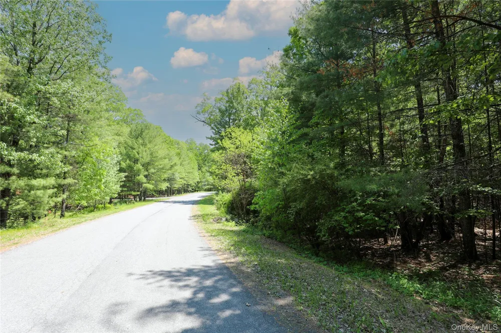 TBD Bristol Hill Road Hurley, NY 12443