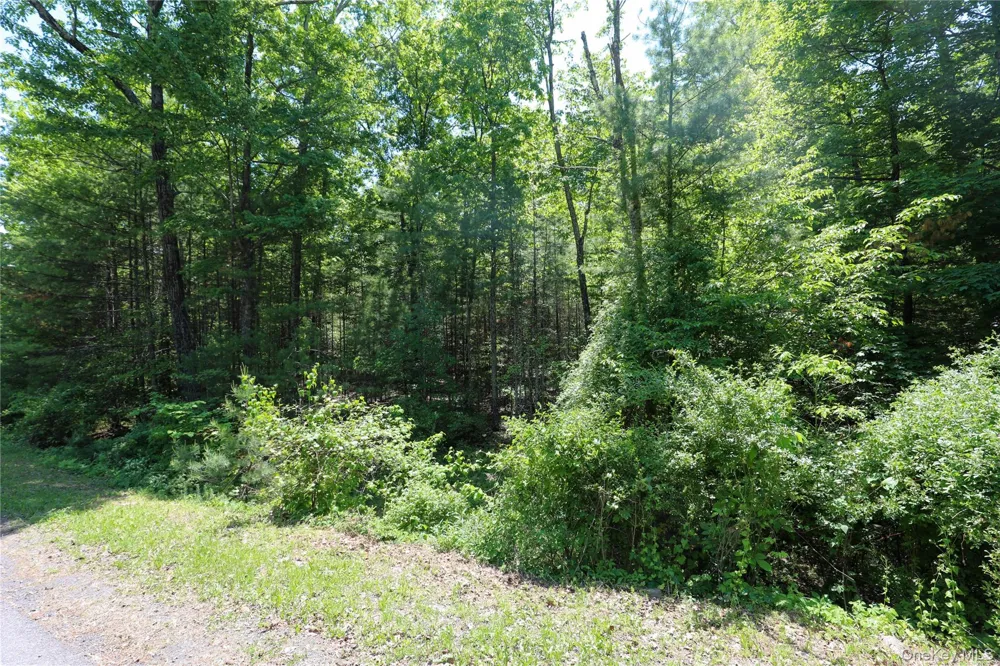 TBD Bristol Hill Road Hurley, NY 12443