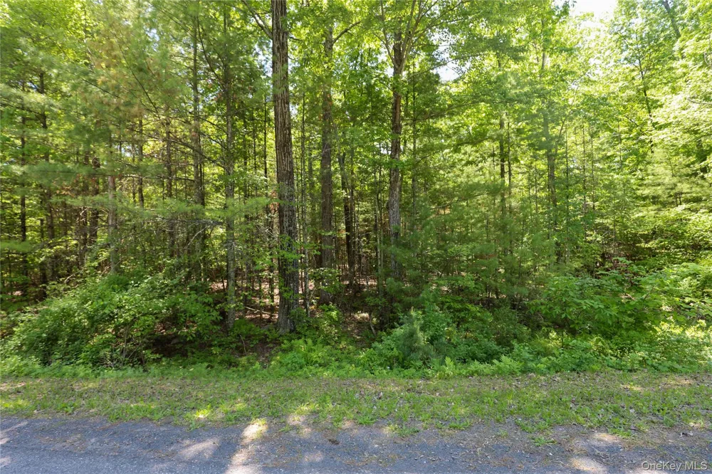 TBD Bristol Hill Road Hurley, NY 12443