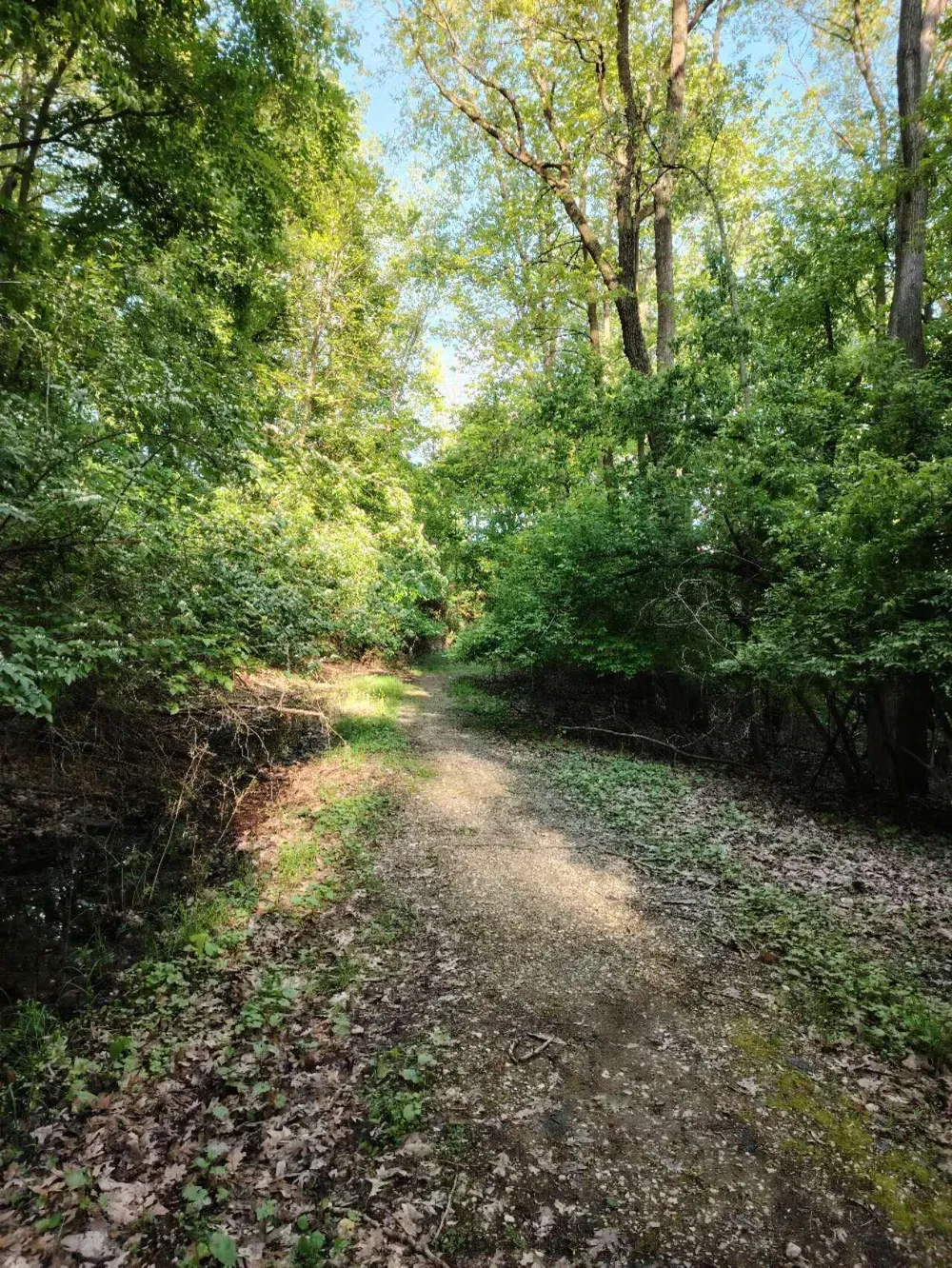 210 Whitney Drive Rochester Hills, MI 48307