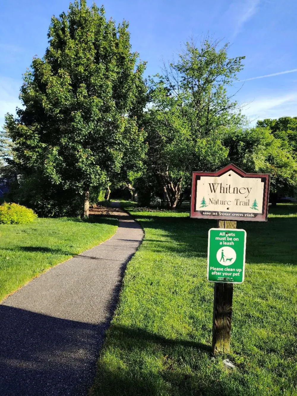 210 Whitney Drive Rochester Hills, MI 48307