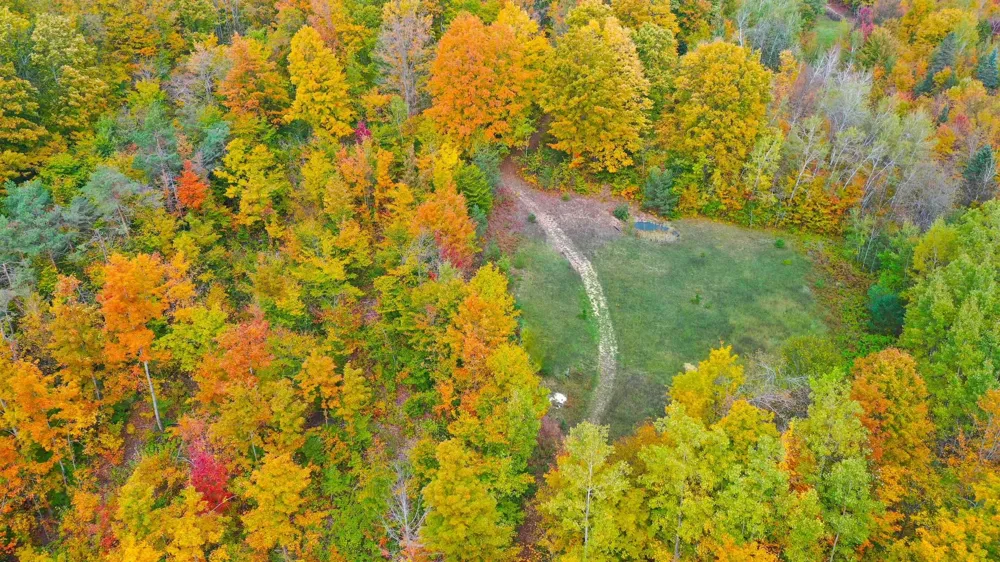 5391 Scholl Road Mancelona Township, MI 49659