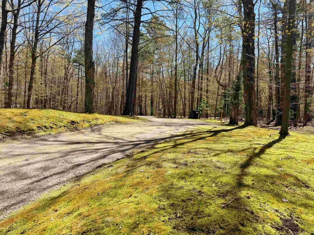 724 S Golden Beach Drive Torch Lake Township, MI 49648