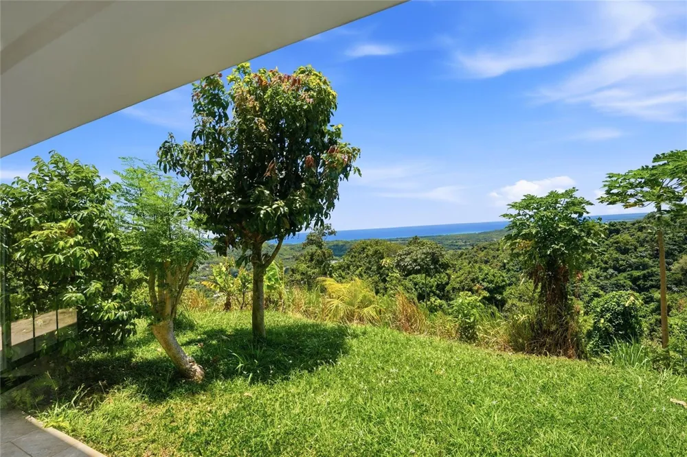 988 KM 1.5 Luquillo, PR 00773