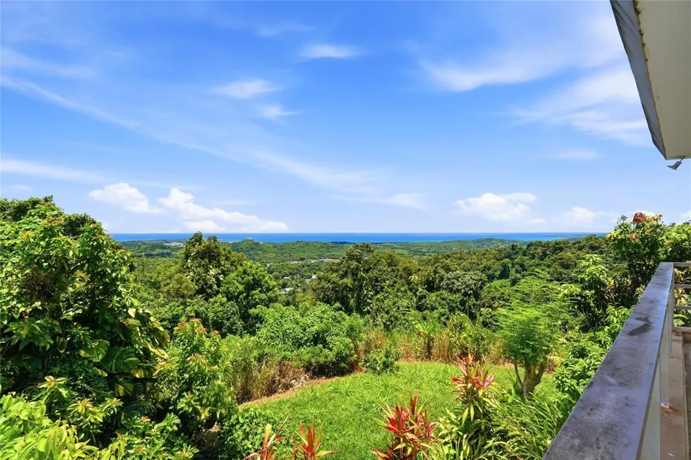 988 KM 1.5 Luquillo, PR 00773