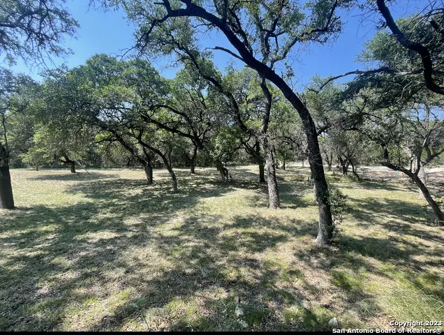 792 ALAMO BEACH RD Pipe Creek, TX 78063