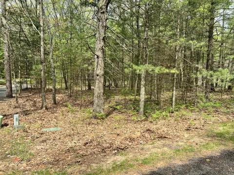 95 Iroquois Road