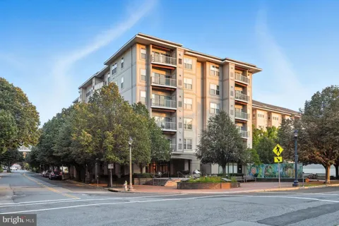 8045 NEWELL STREET #423