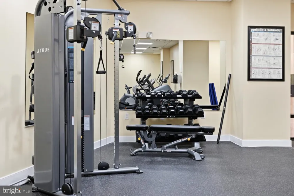8045 NEWELL STREET #423 Silver Spring, MD 20910
