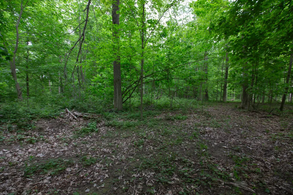 14120 Tyson Trail Camden, MI 49232