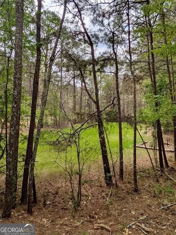 16040 Henderson RD Milton, GA 30004