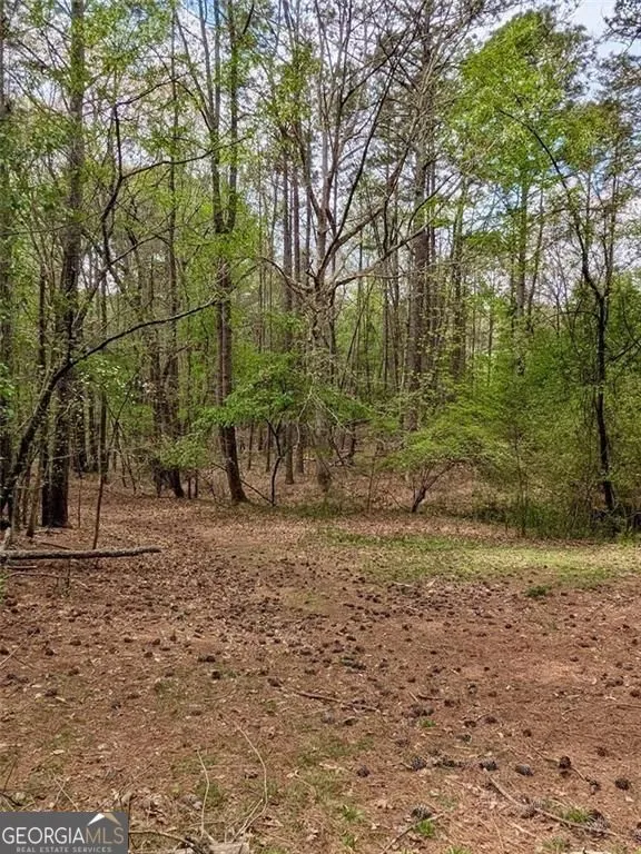 16040 Henderson RD Milton, GA 30004