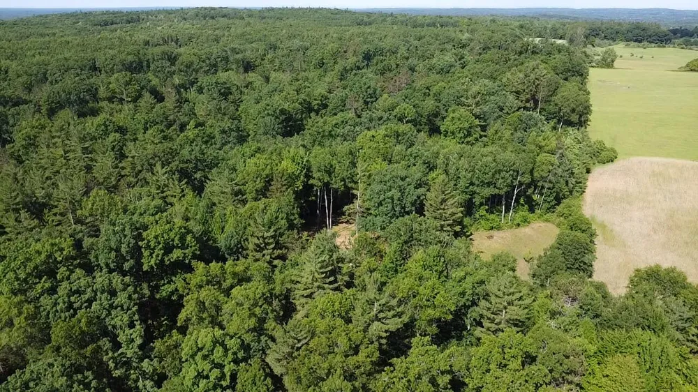 40 Coates Hwy. Brethren, MI 49619