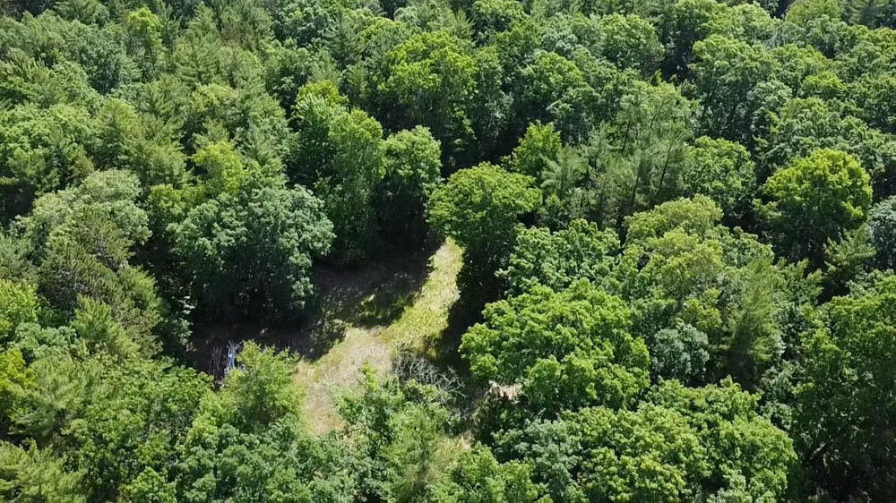 40 Coates Hwy. Brethren, MI 49619