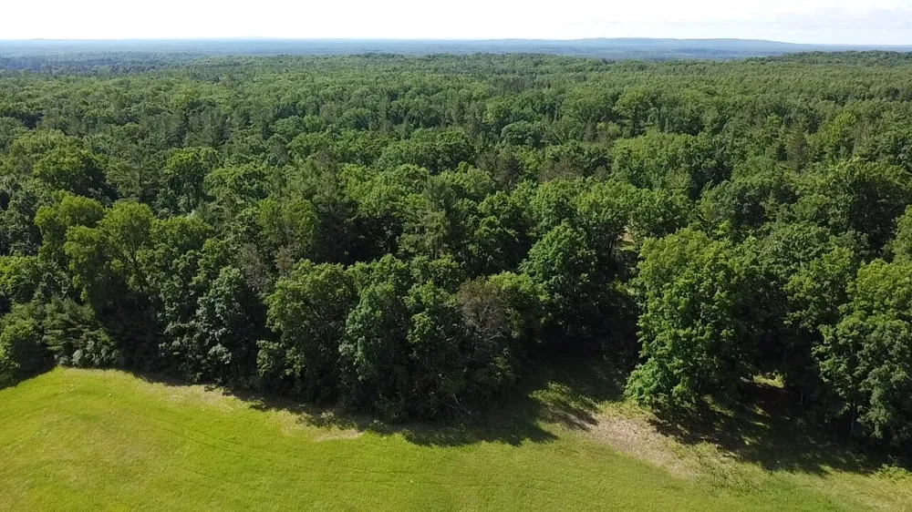 40 Coates Hwy. Brethren, MI 49619