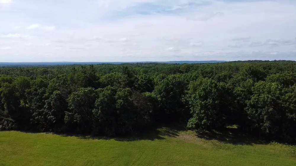 40 Coates Hwy. Brethren, MI 49619