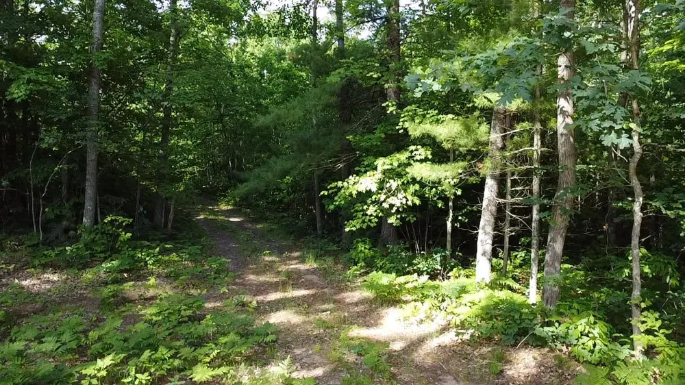 40 Coates Hwy. Brethren, MI 49619