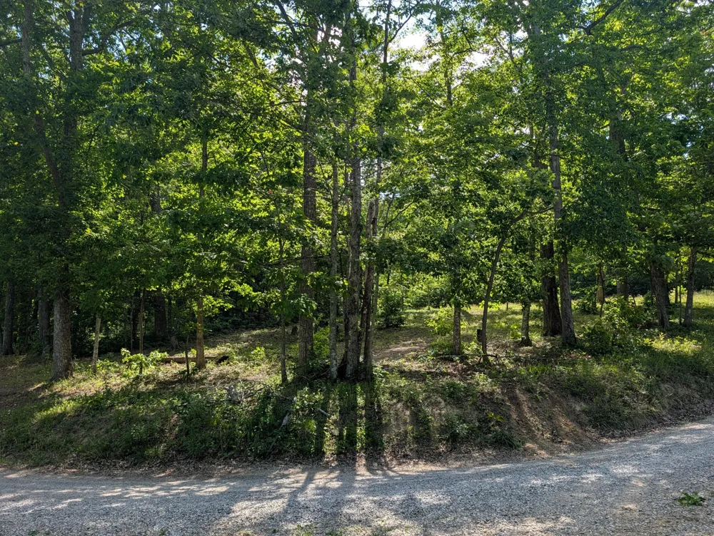 9495 Red Oak Lane Spring City, TN 37381