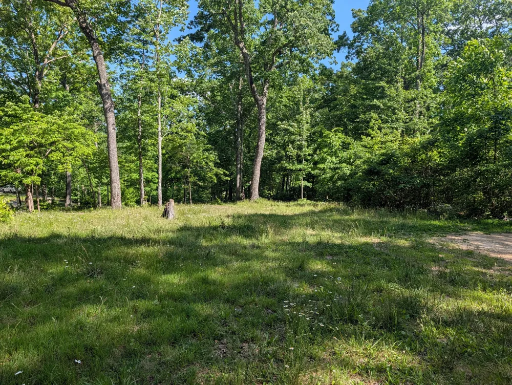9495 Red Oak Lane Spring City, TN 37381