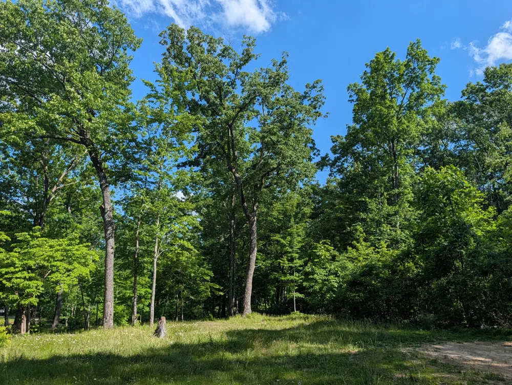 9495 Red Oak Lane Spring City, TN 37381
