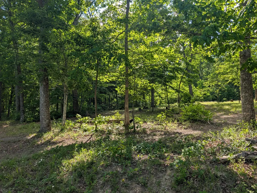 9495 Red Oak Lane Spring City, TN 37381