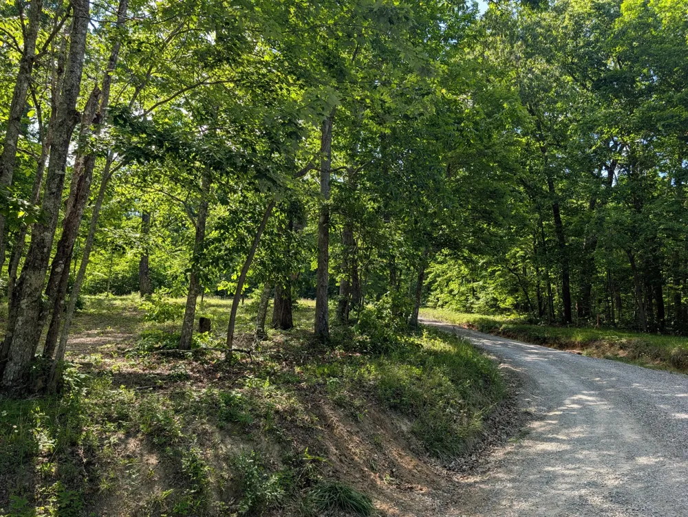 9495 Red Oak Lane Spring City, TN 37381