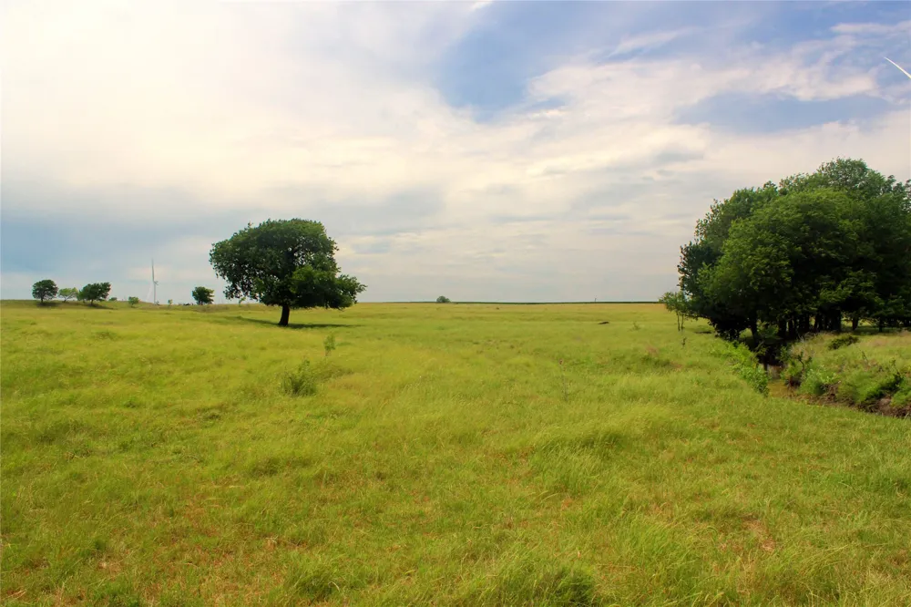 3341 FM 639 Frost, TX 76641