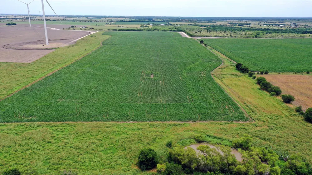 3341 FM 639 Frost, TX 76641