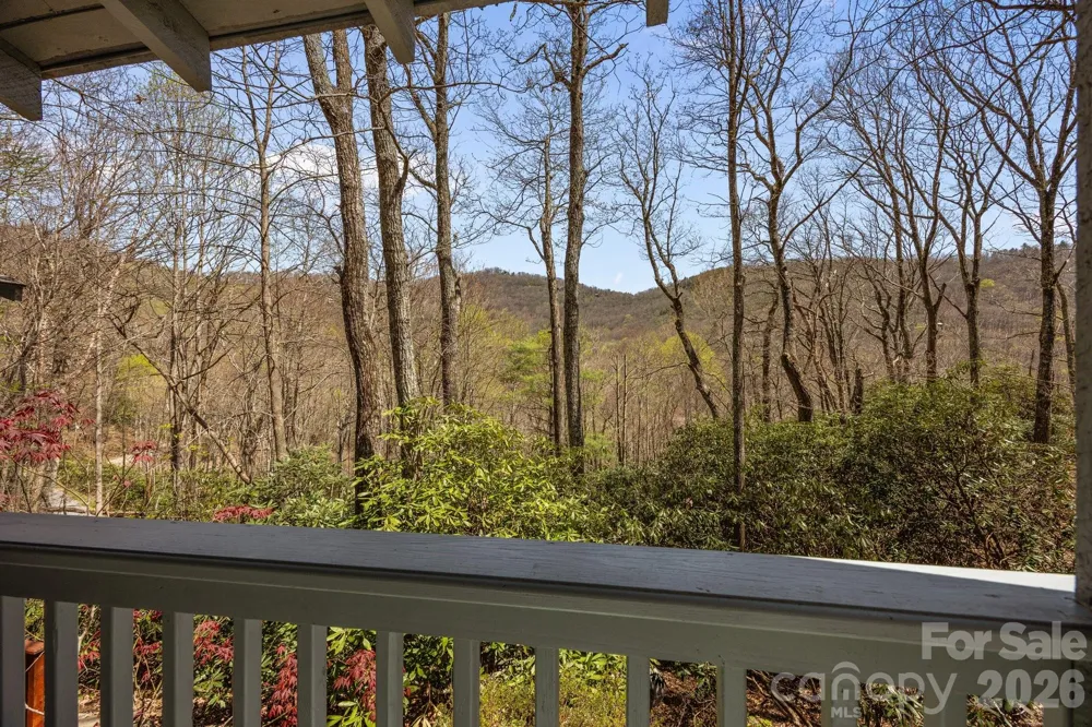 63 Chestnut Forest Road Fairview, NC 28730