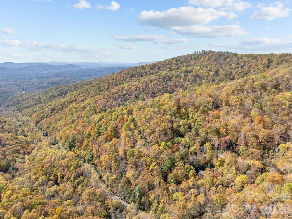 63 Chestnut Forest Road Fairview, NC 28730
