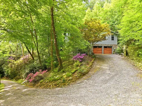 63 Chestnut Forest Road