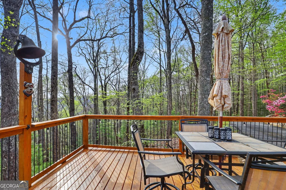 8528 Soapstone Creek TRL Hiawassee, GA 30546