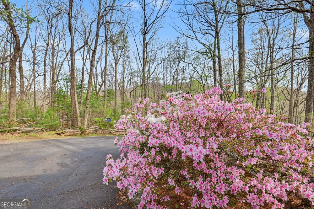 8528 Soapstone Creek TRL Hiawassee, GA 30546