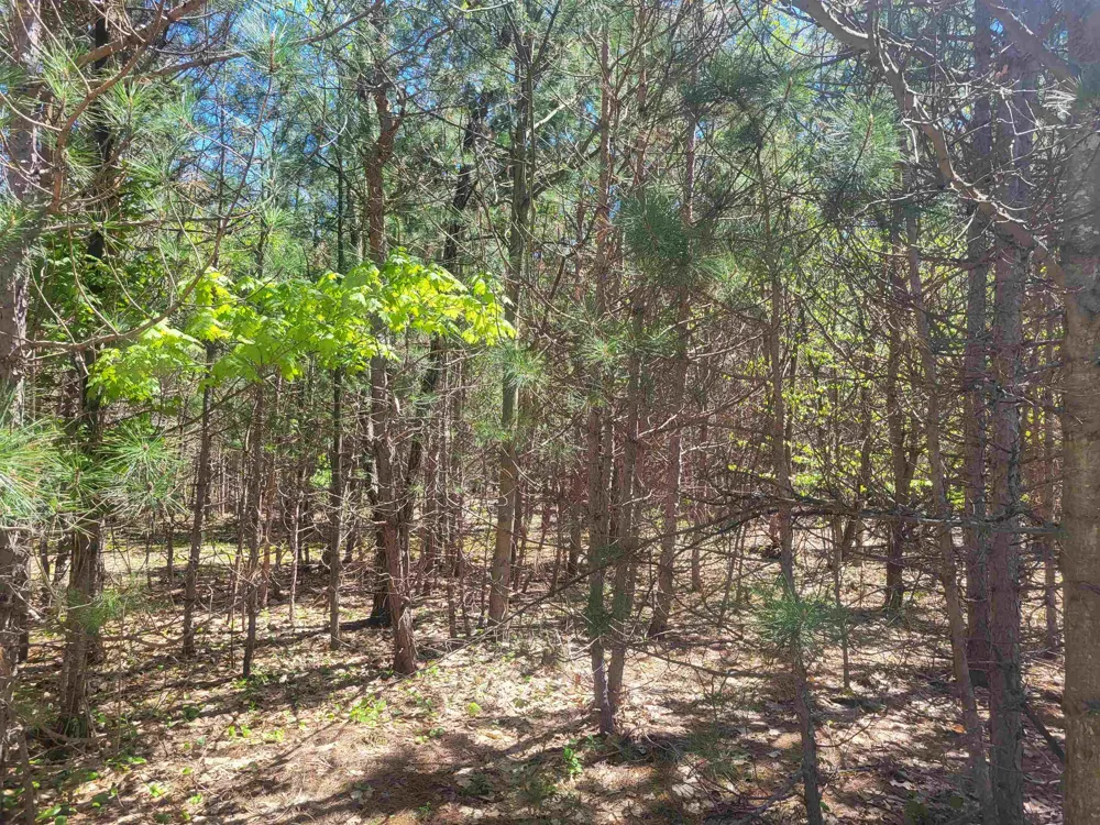 Hulbert Road Inland Township, MI 49643