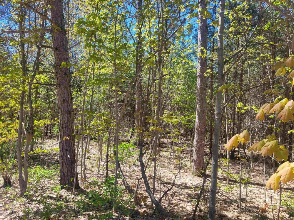 Hulbert Road Inland Township, MI 49643