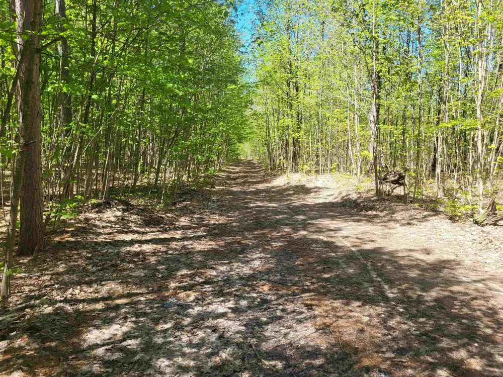 Hulbert Road Inland Township, MI 49643