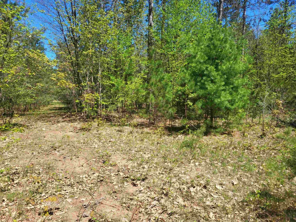 Hulbert Road Inland Township, MI 49643