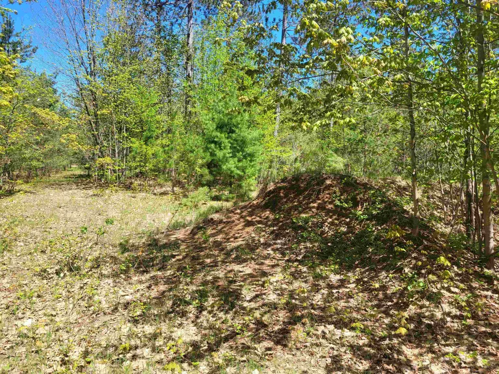 Hulbert Road Inland Township, MI 49643