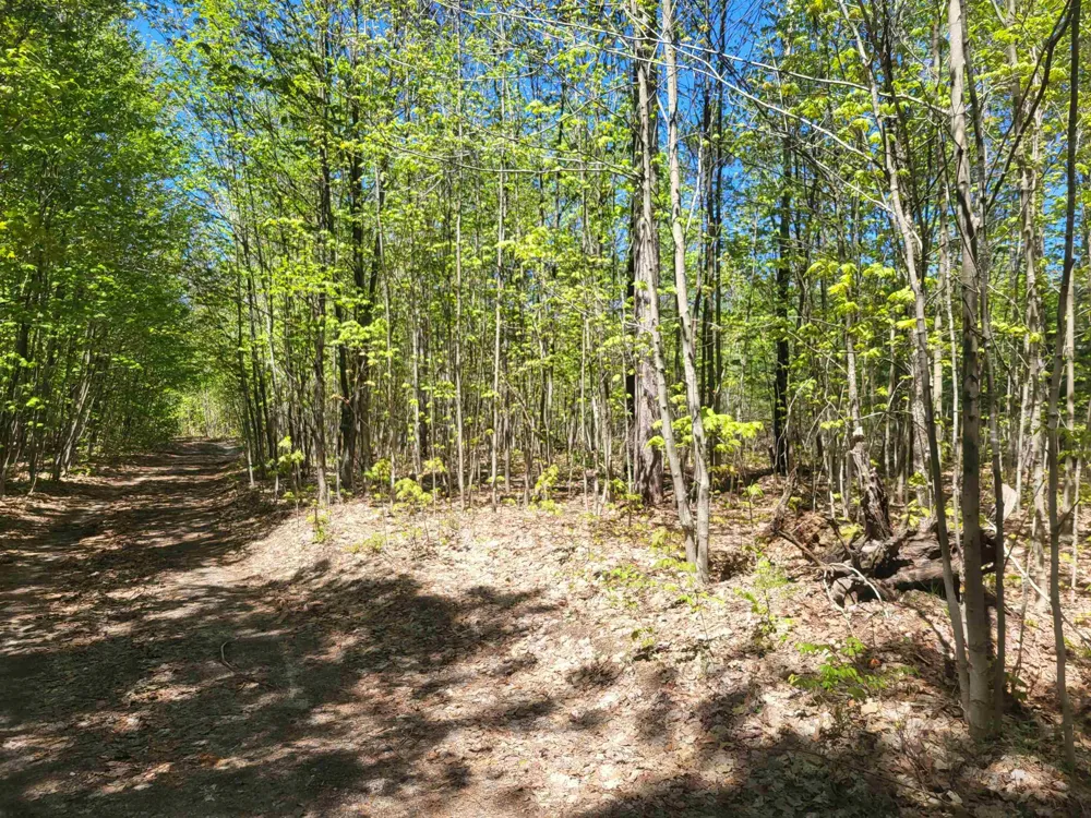 Hulbert Road Inland Township, MI 49643