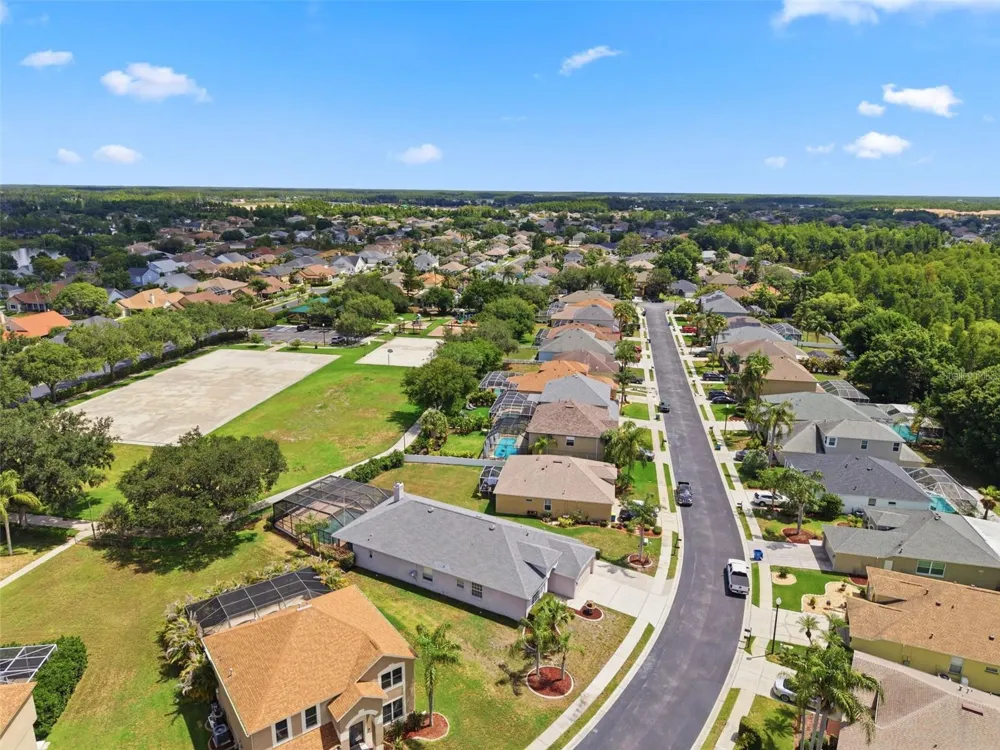 1623 CROSSVINE COURT Trinity, FL 34655