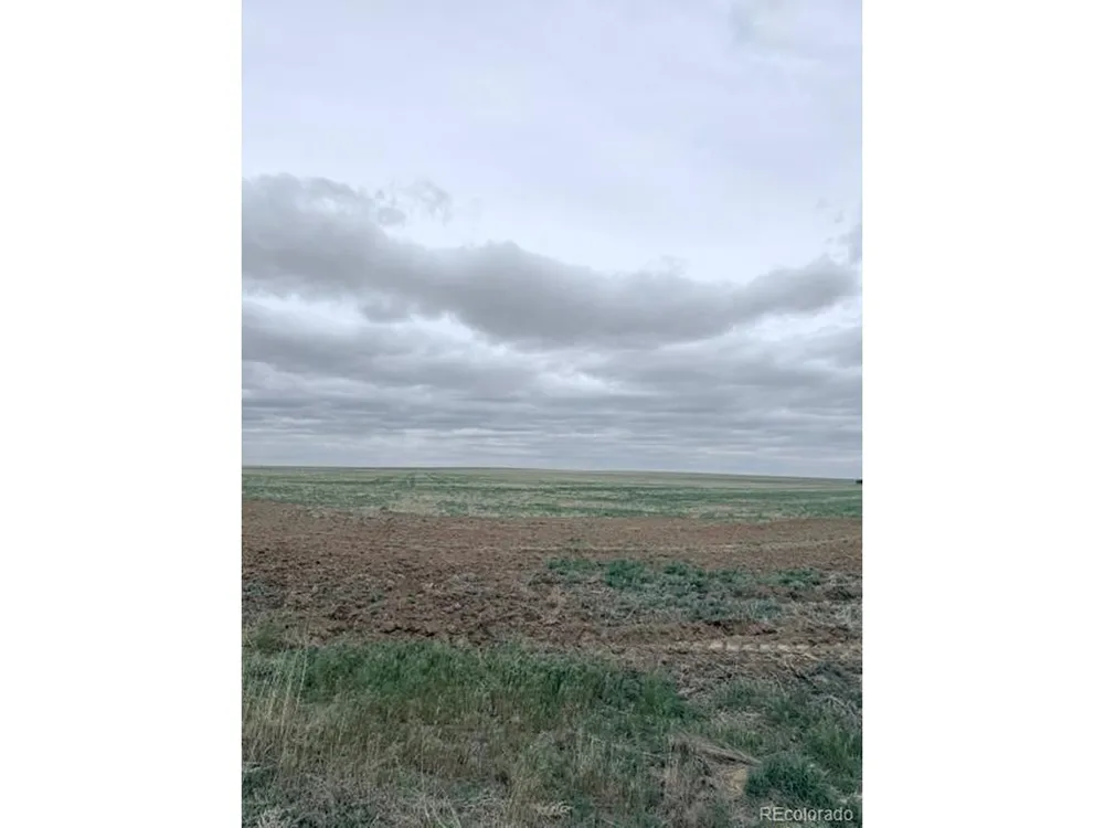 WCR 81 and Co Rd 8 Roggen, CO 80652